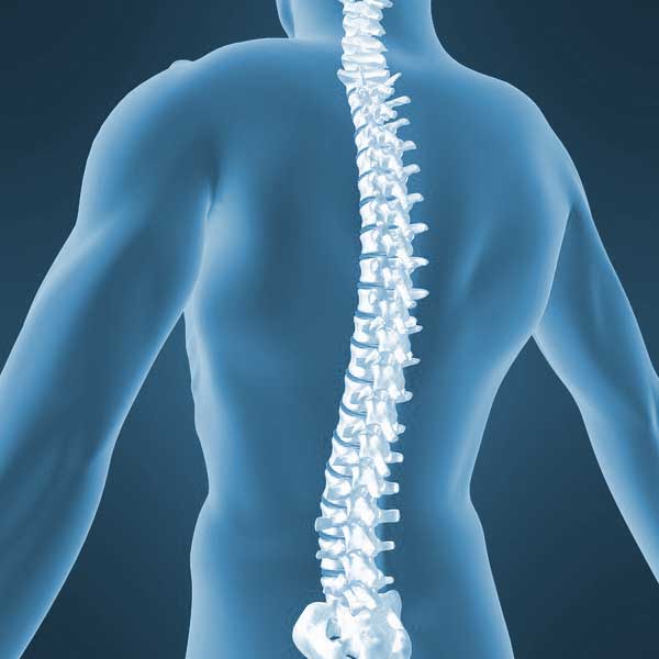 Cotham Chiropractic Clinic - Ailments - Low Back Pain & Sciatica